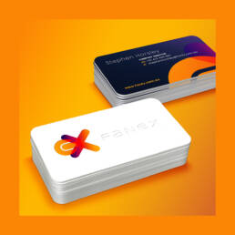 Fanex Branding